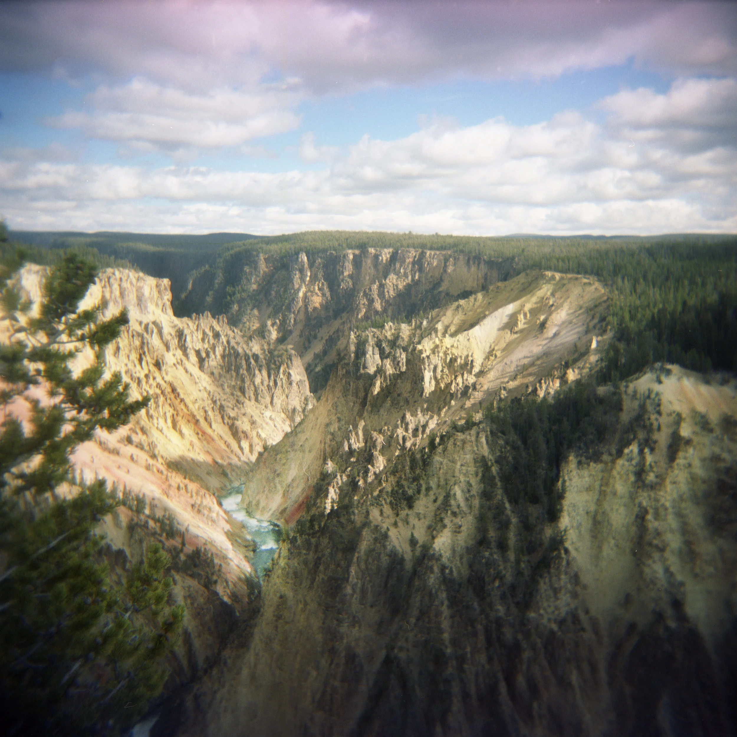 Yellowstone006.jpg