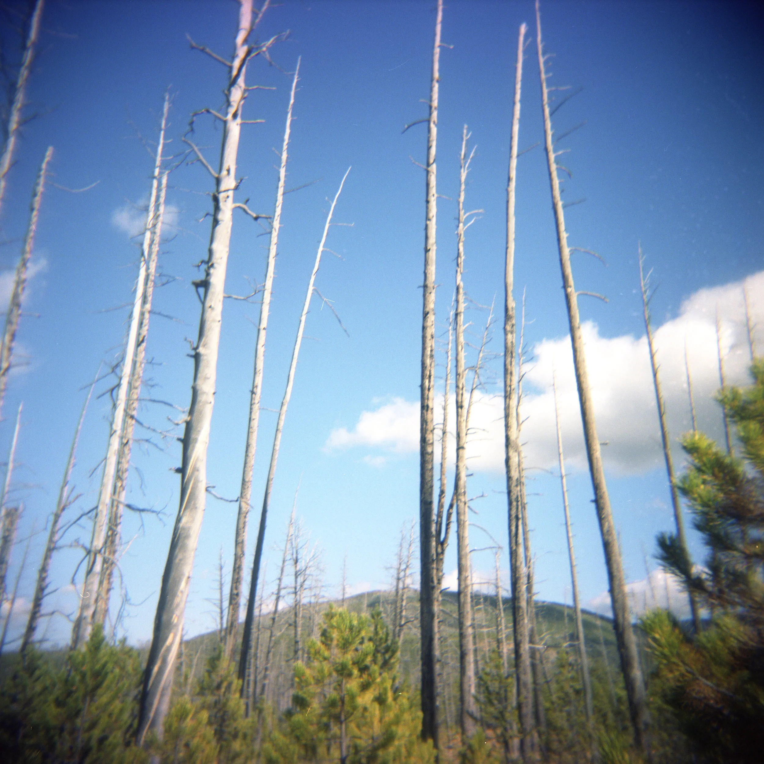 Yellowstone007.jpg