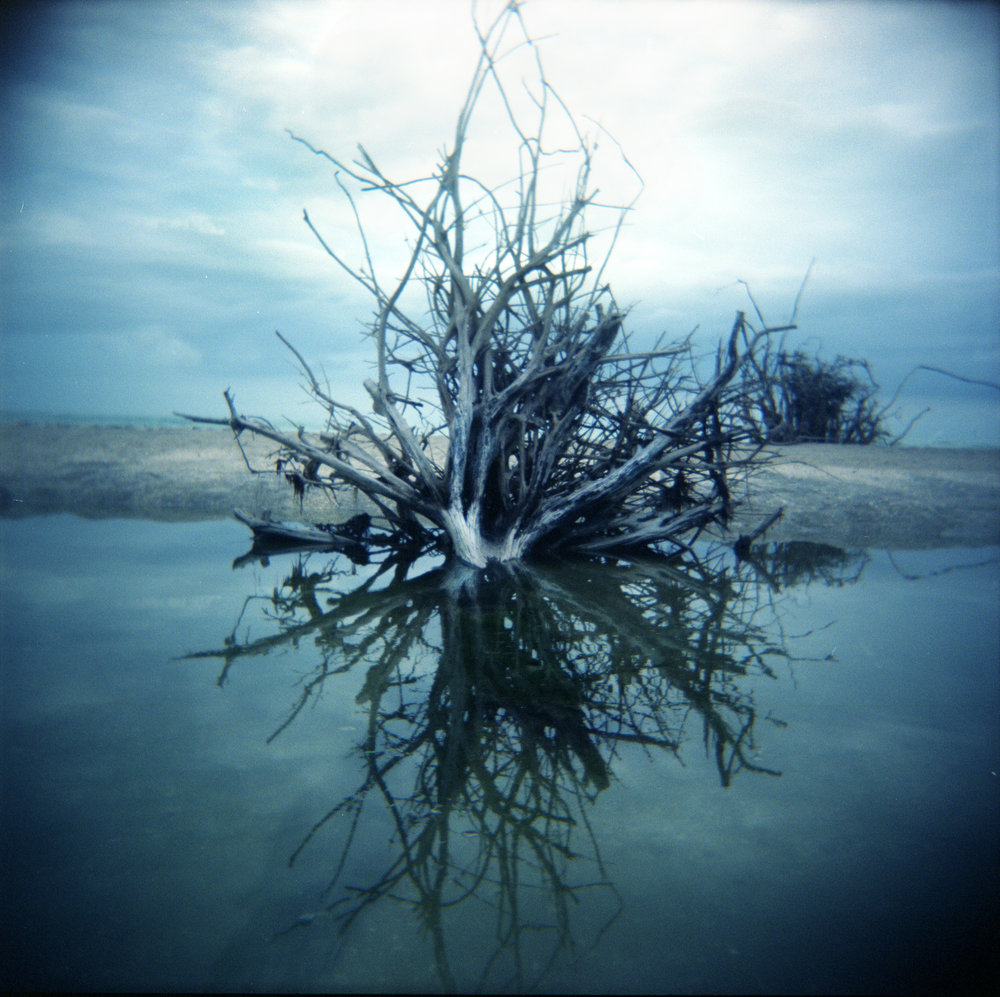 surreal_beac_2+(1).jpg