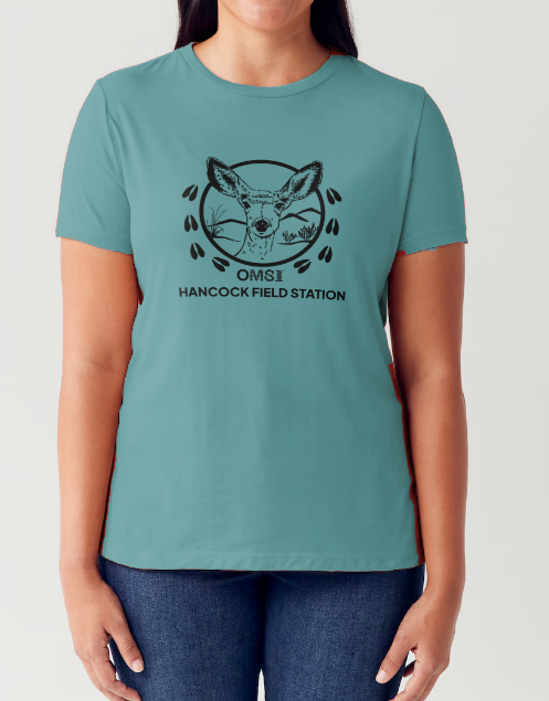 Screenshot 2024-01-12 165304.png