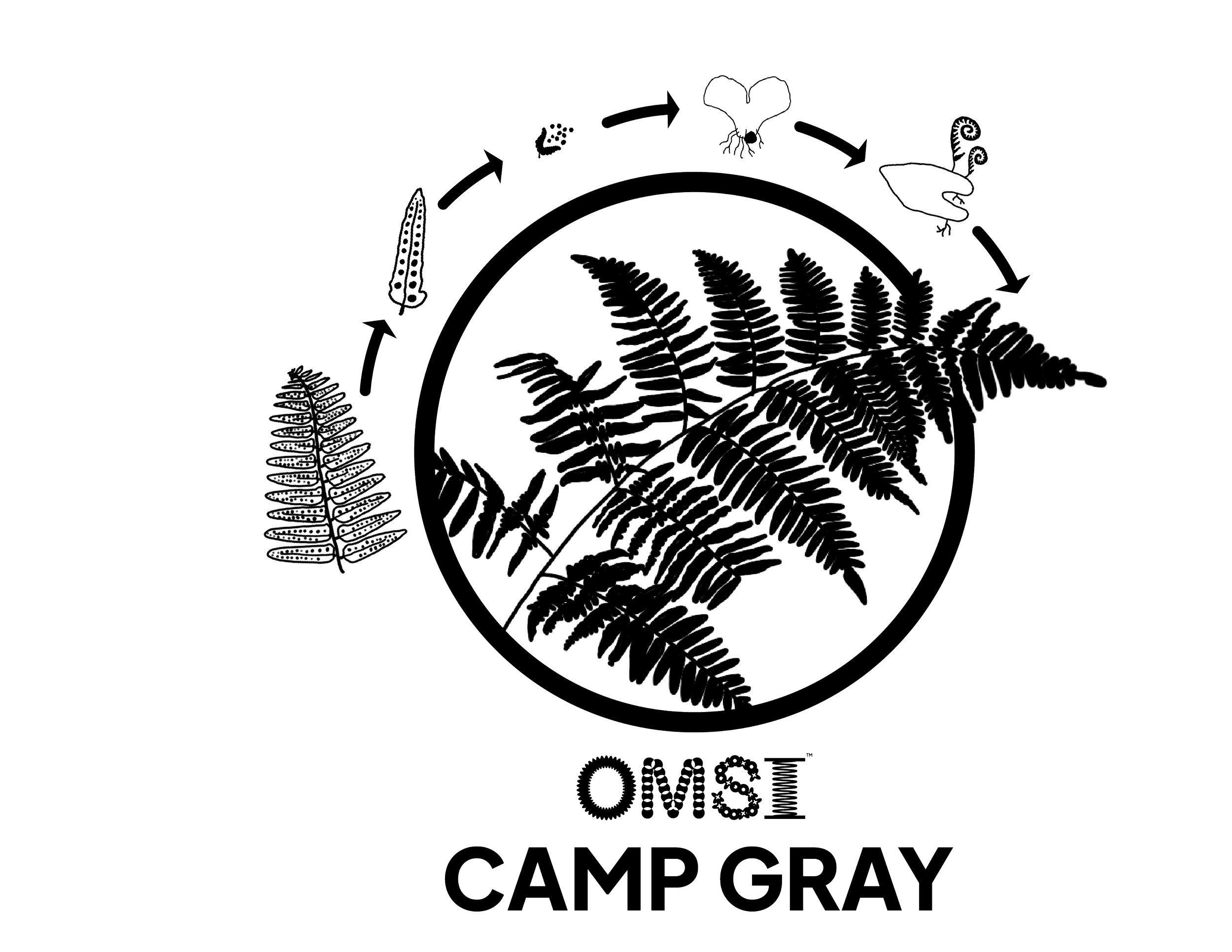 CMP-SHIRTS-2024-02.png