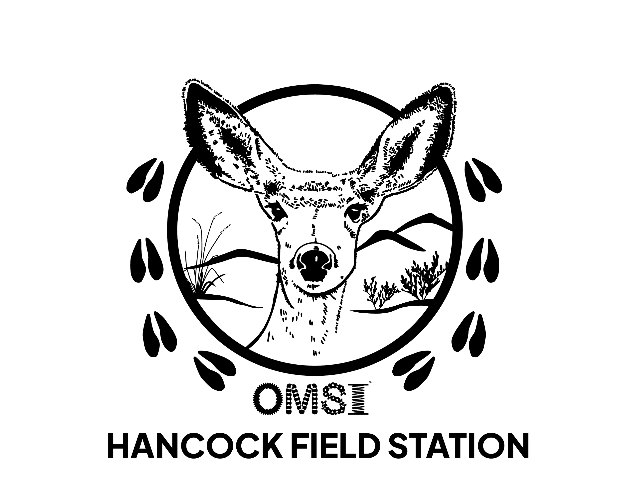 CMP-SHIRTS-2024-01.png