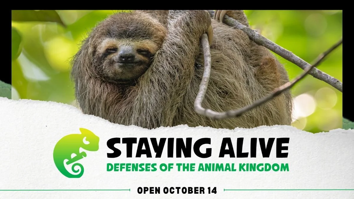 Staying Alive -  Mailchimp (1).jpg