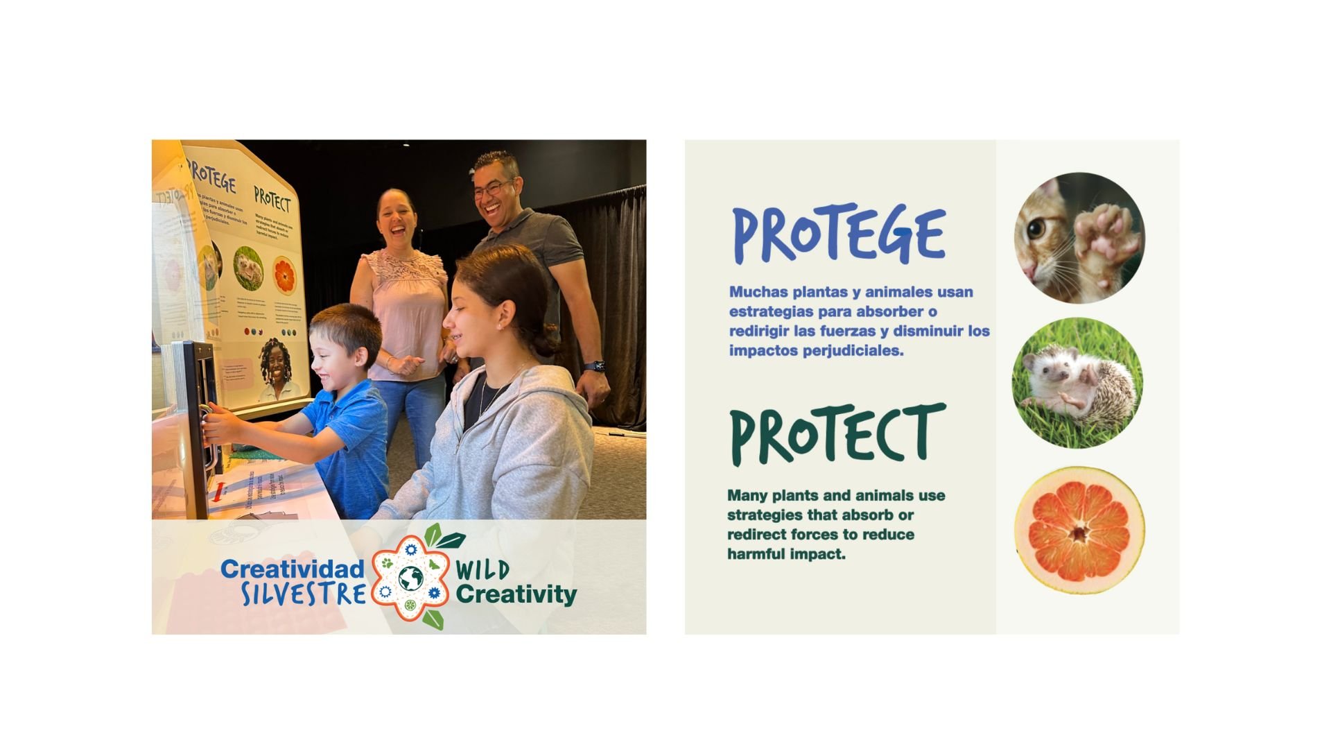 Untitled design (4).jpg