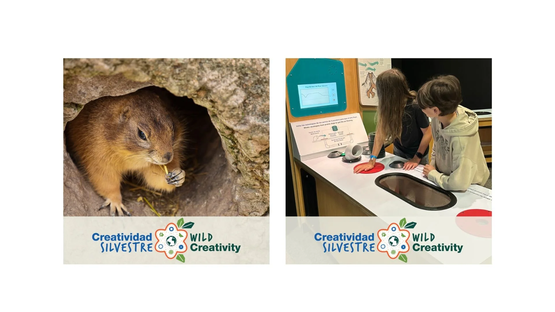 Untitled design (5).jpg