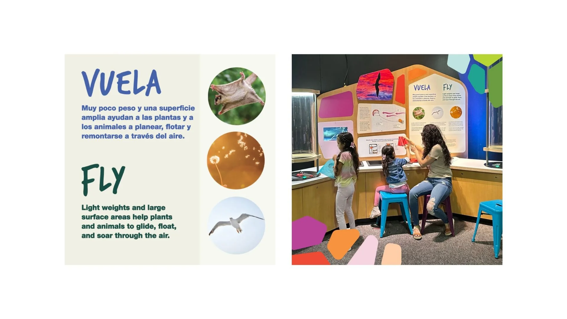 Untitled design (6).jpg