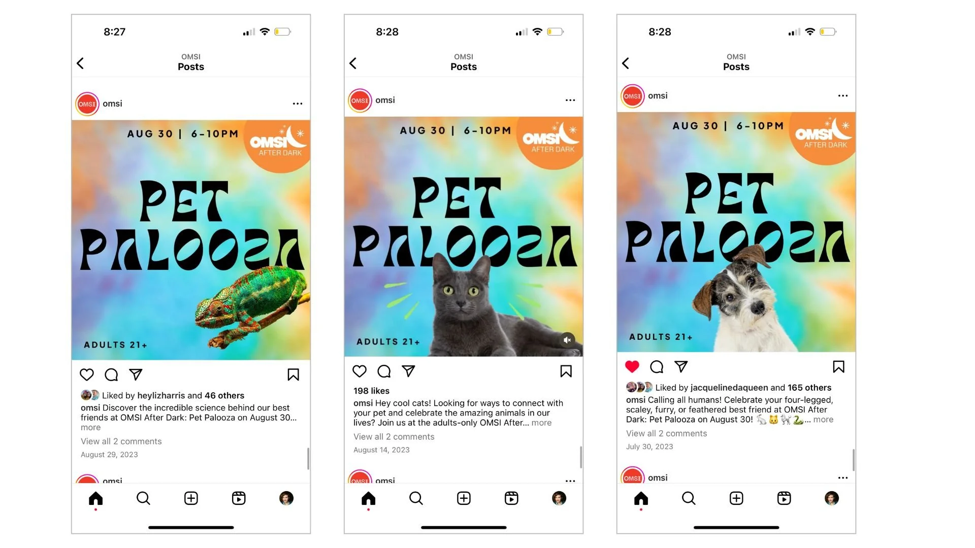 Untitled design (7).jpg