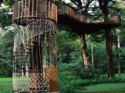 botanical-treetops.jpg