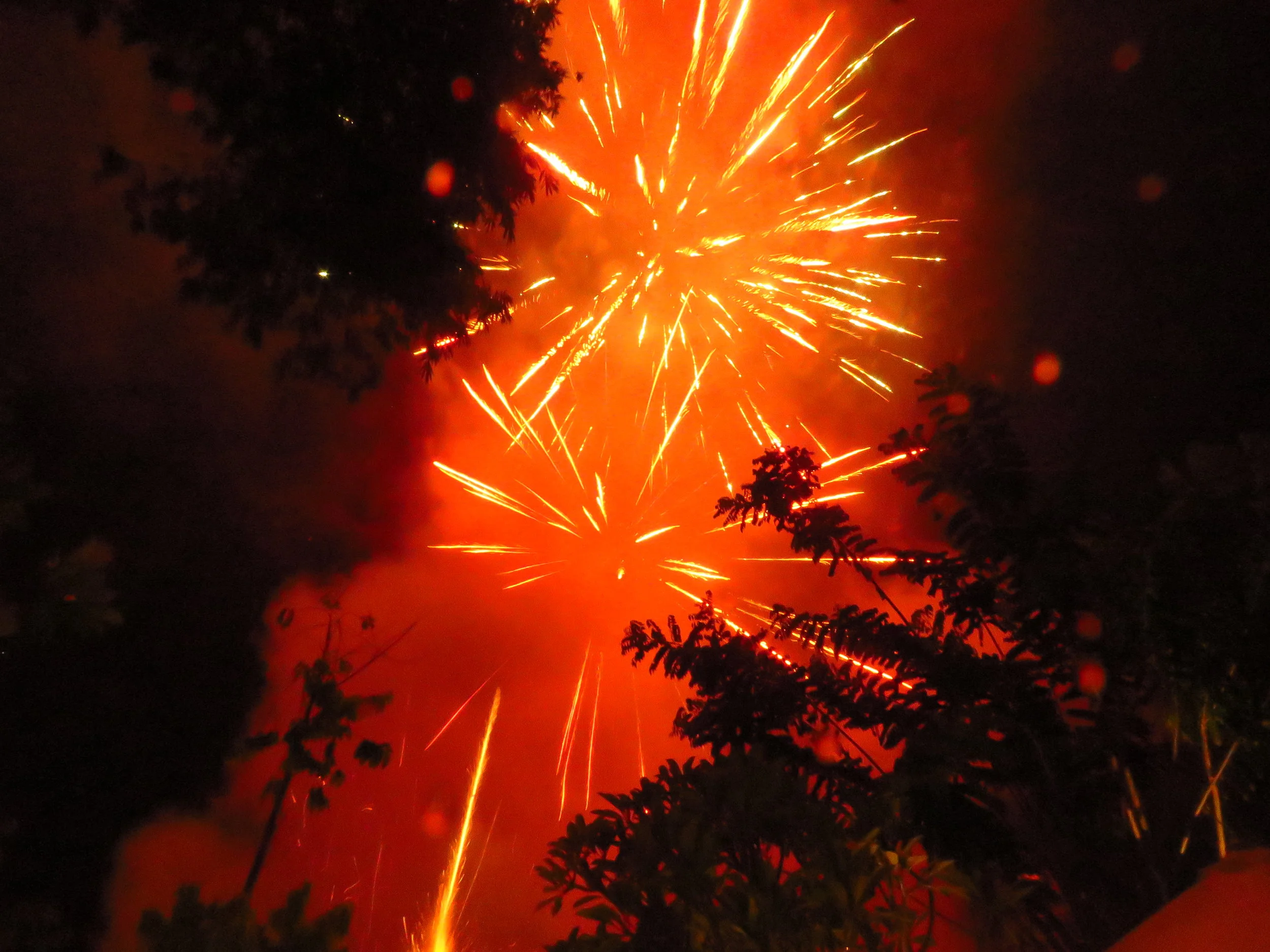 NEW YEAR'S EVE DINNER PARTY