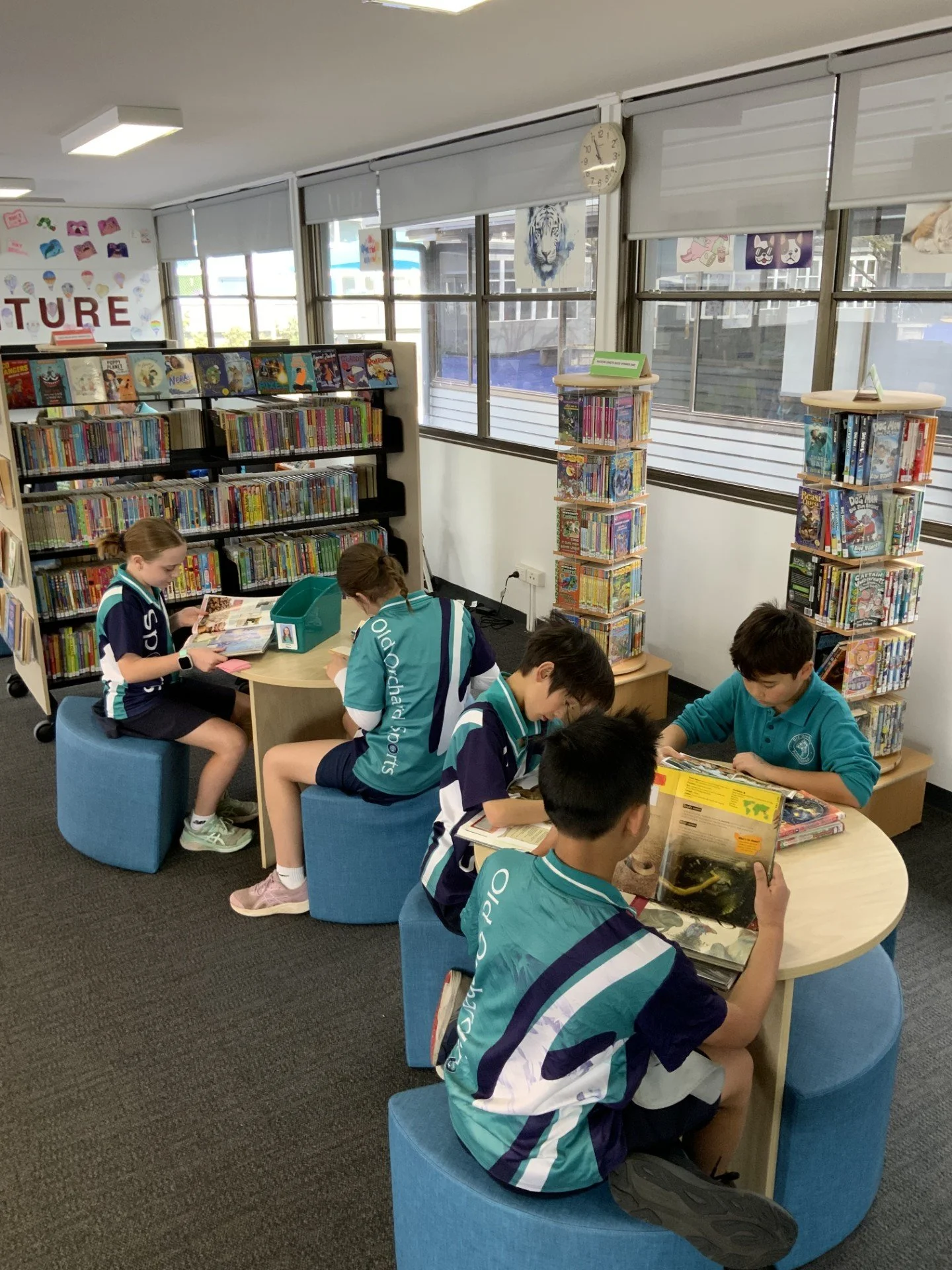 library 1.jpg