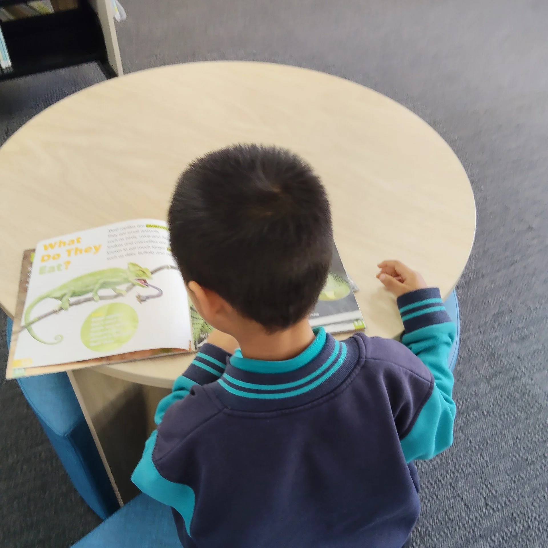 library 2026 1.jpg