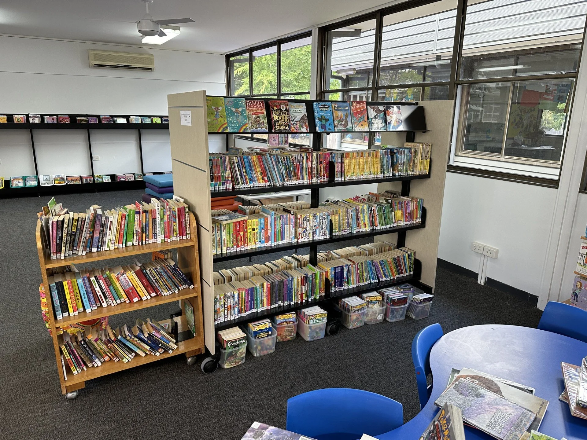 library new 2.jpg