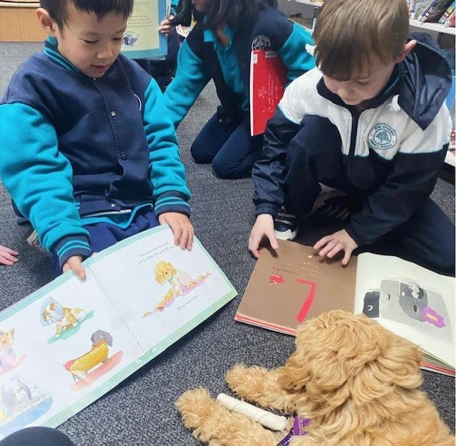 ginger library 3.jpg