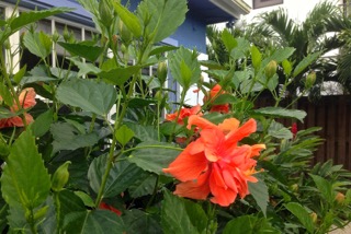 IMG_1186.jpeg