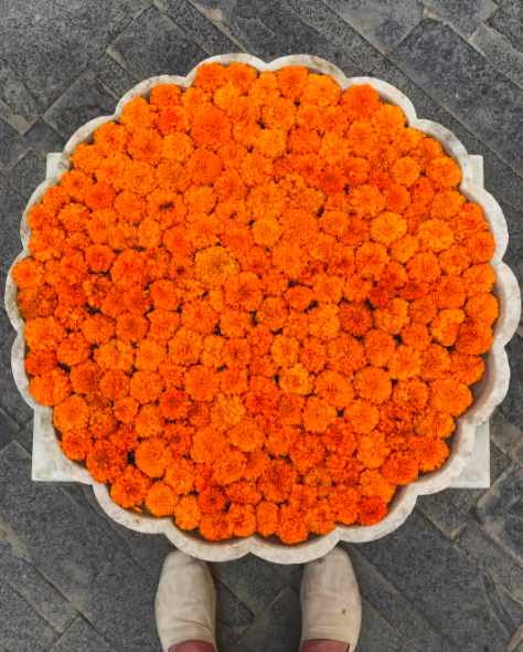 Screen Shot 2017-03-02 at 10.03.35 am.png