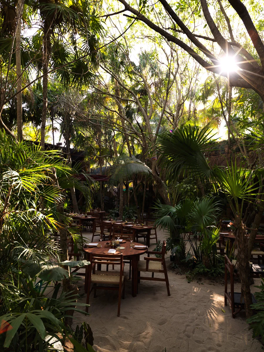 Dining-Room---Noma-Mexico.jpg