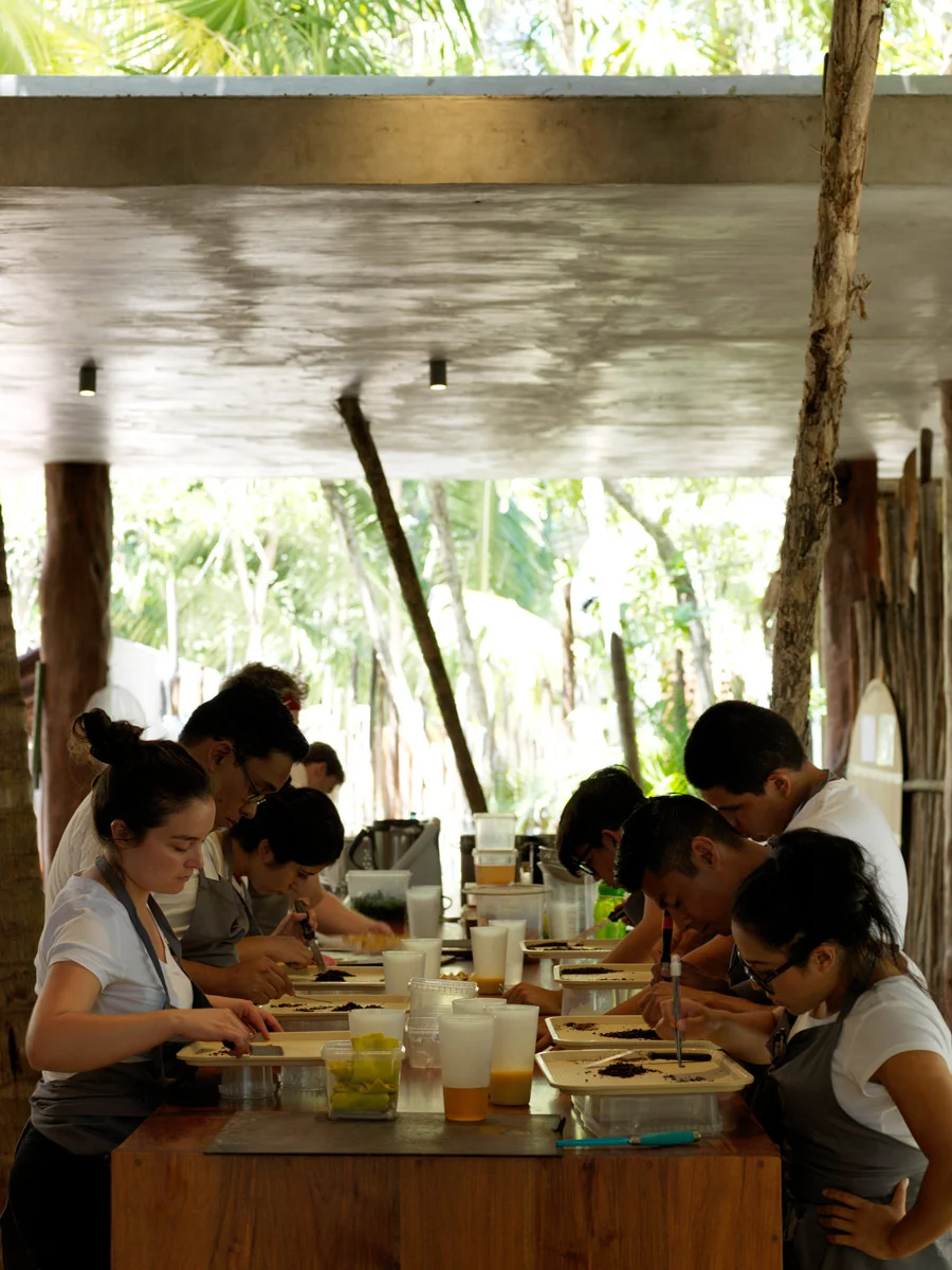 Main-Kitchen---Noma-Mexico.jpg