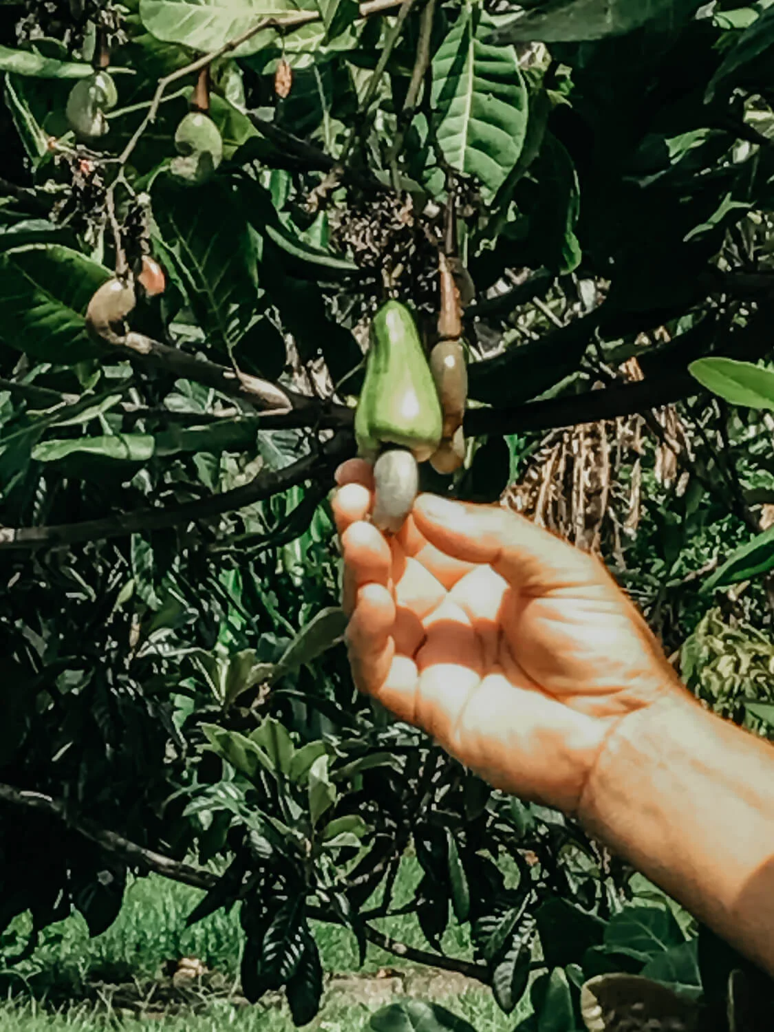 64 IMG_1990_NikkiTo.jpg