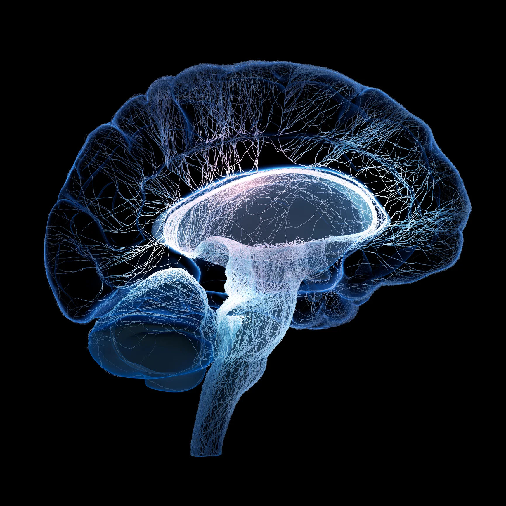 DTI-sagittal-fibers.jpg