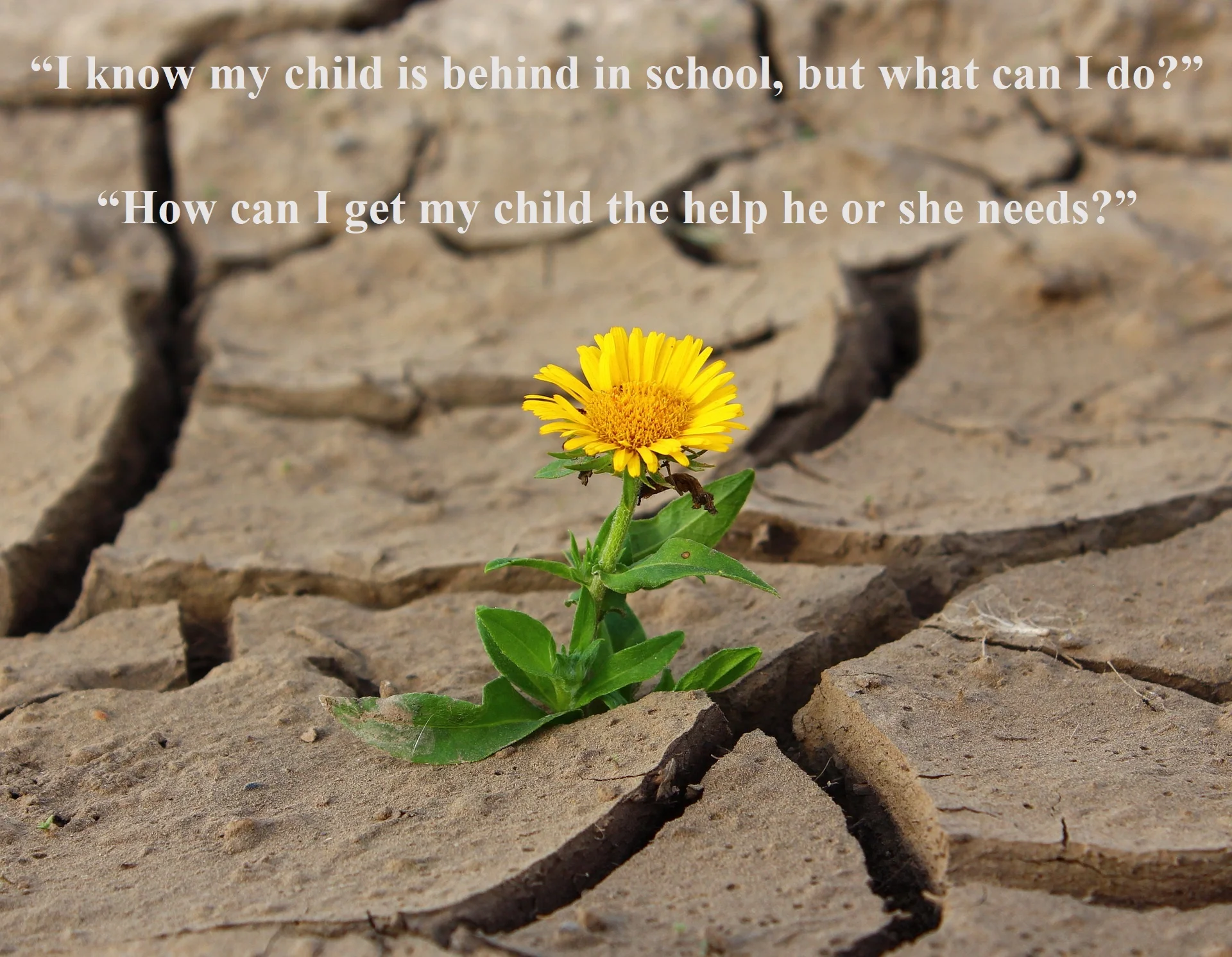 Don’t Let Your Child Fall Through the Cracks at School