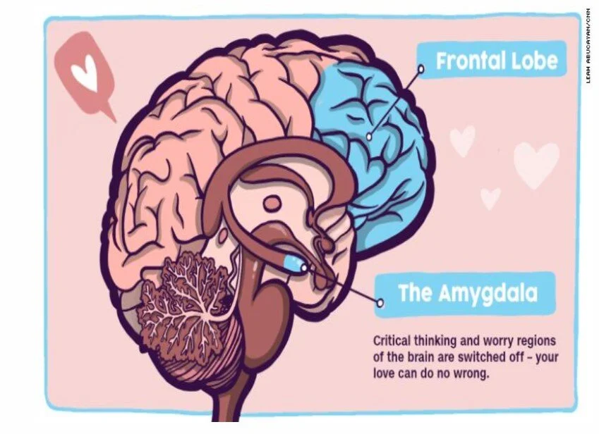 Happy Valentine's Day from your Brain!