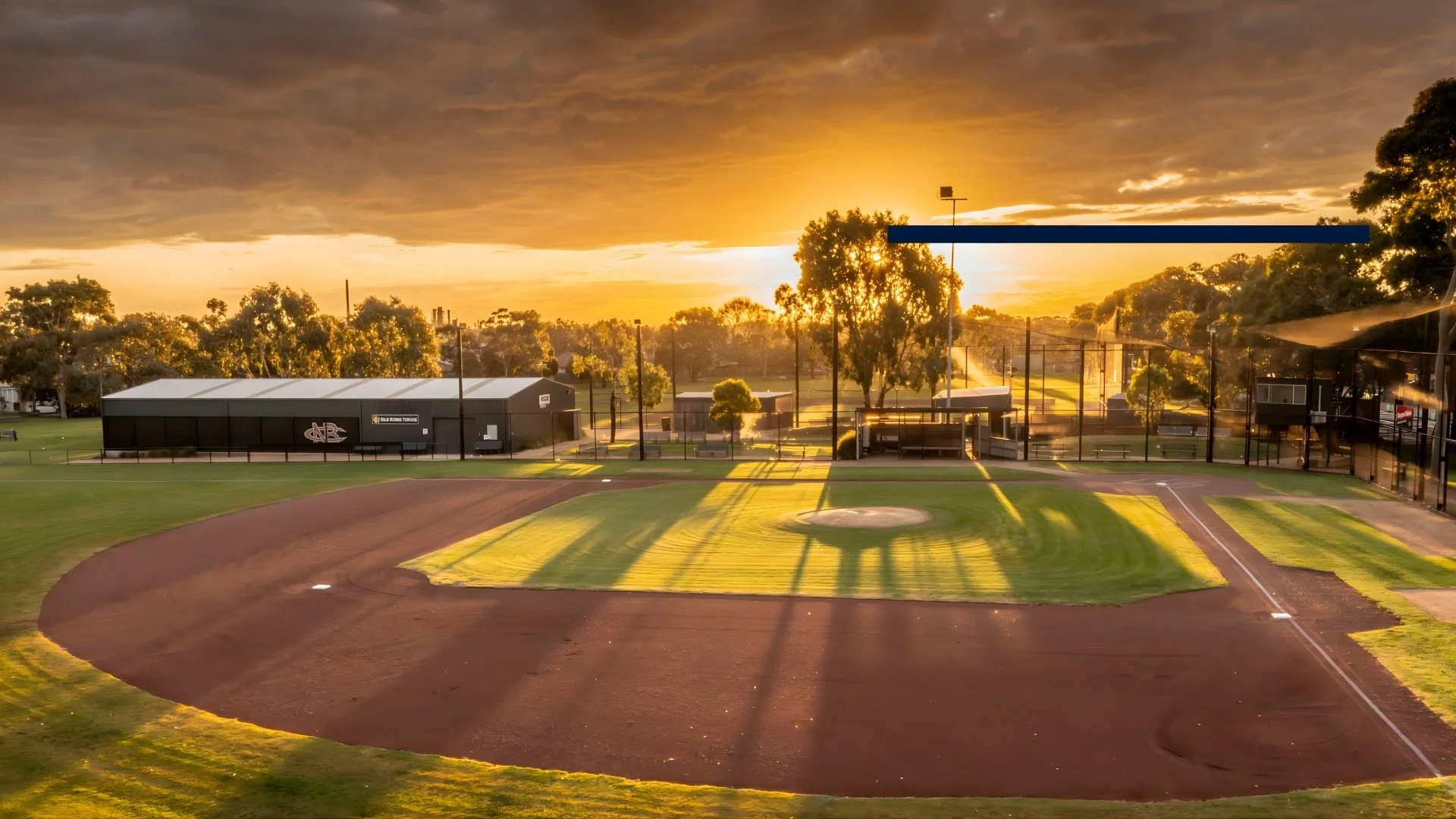 Annual General Meeting 2025