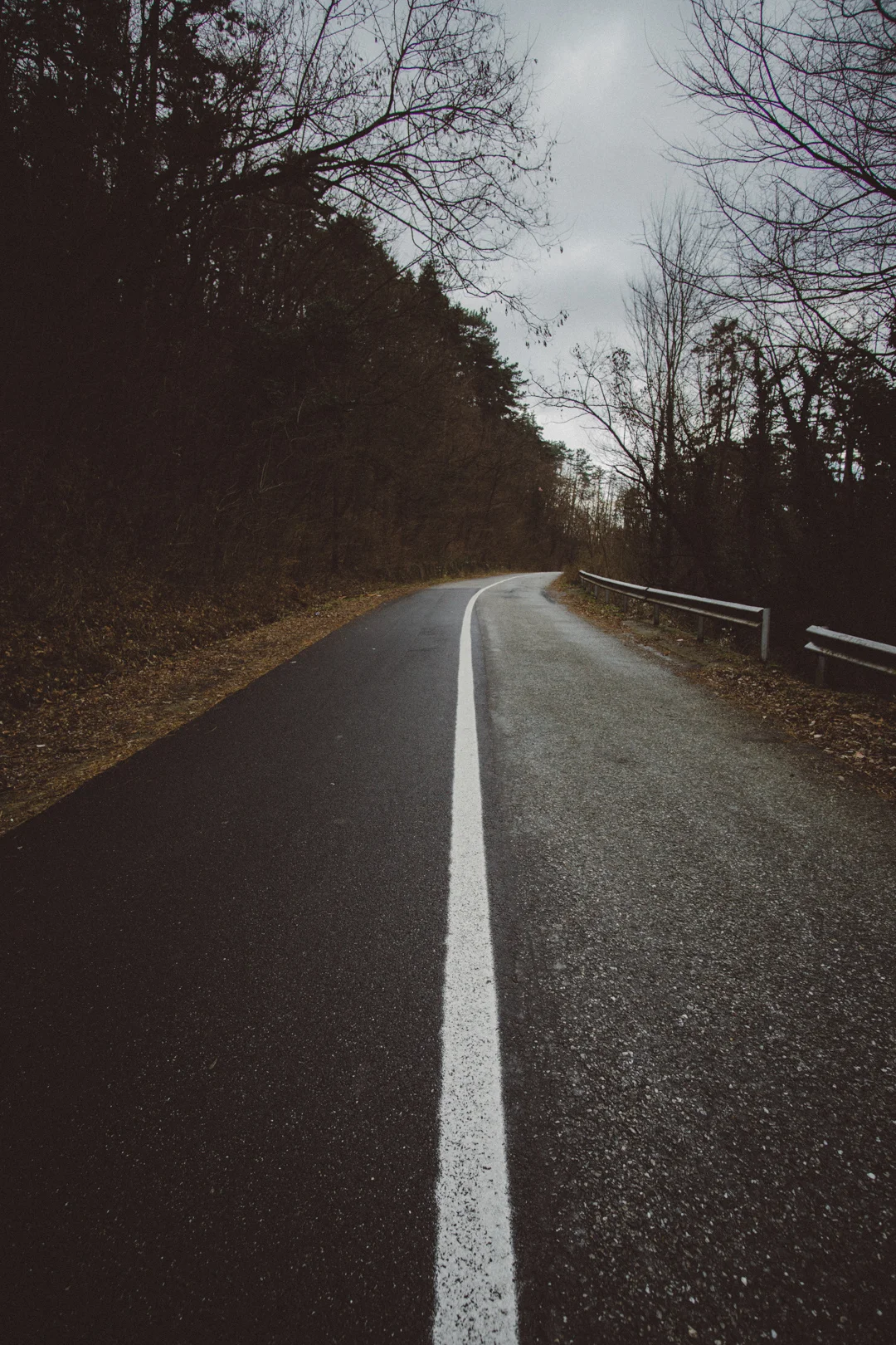 road insta.jpg