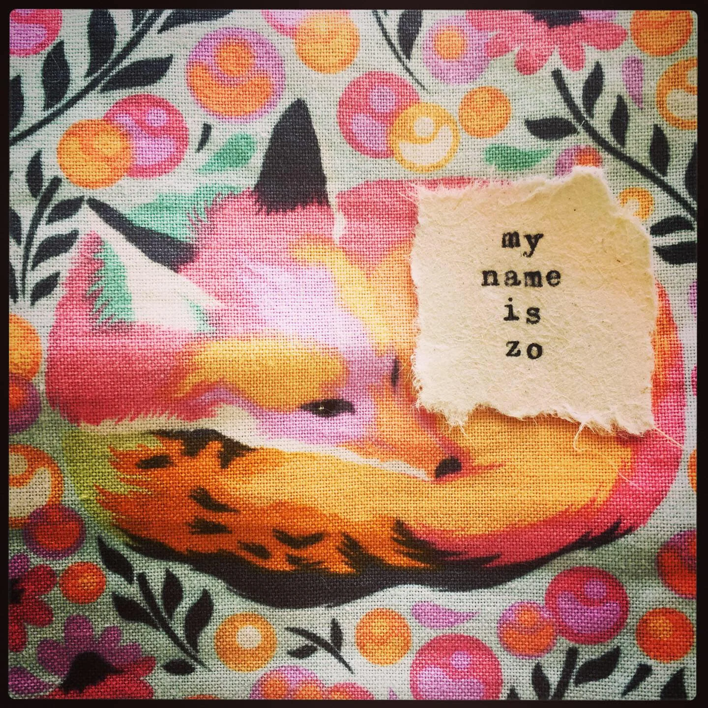 my name is zo fox ig.jpg