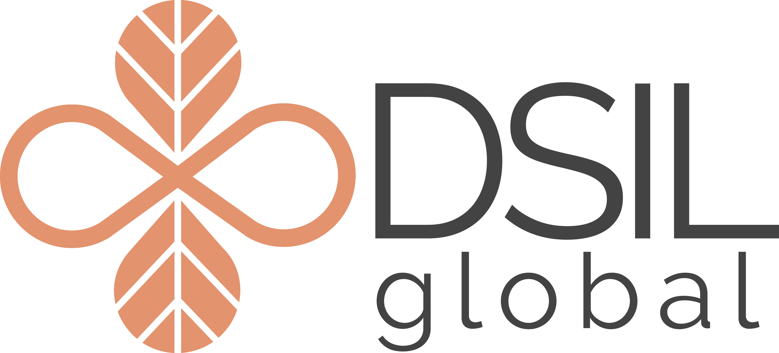 DARK GRAY DSIL Logo High Res PNG.png