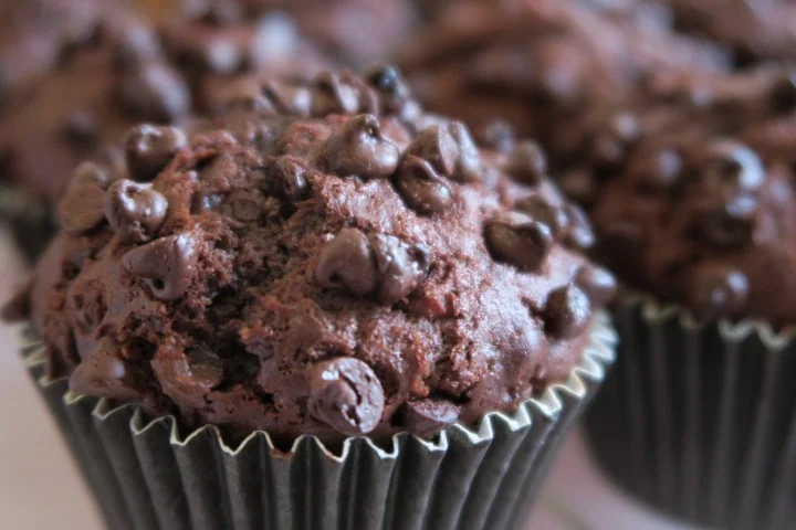 doubleChocolateMuffins.jpg