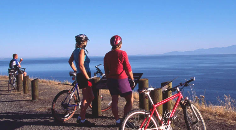 islandbicycles_1.jpg