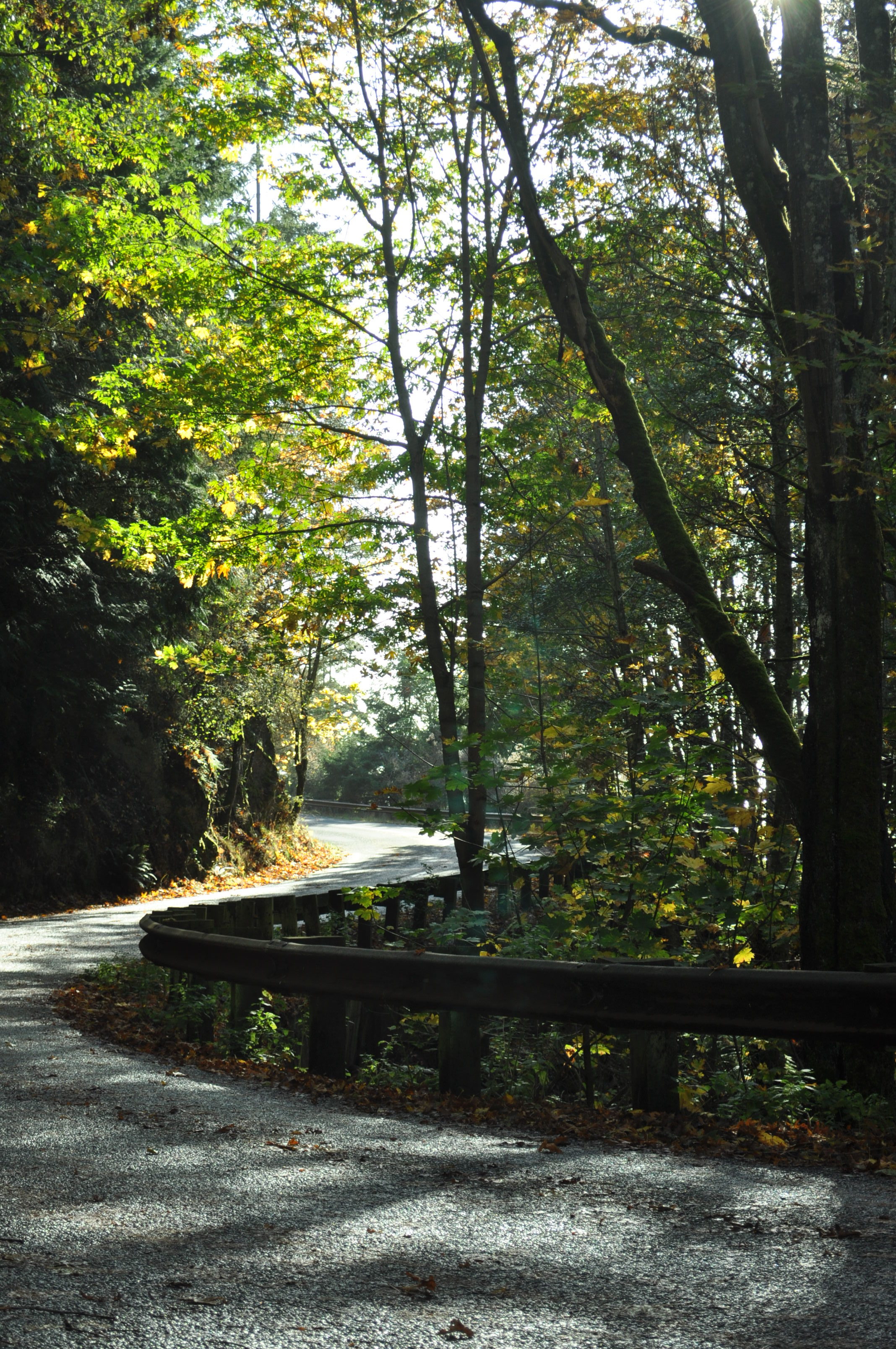 long island bicycles inc