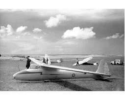 tn-Gull-4-2-.jpg