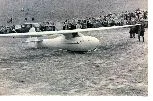 Rohnbussard.jpg