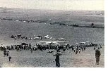 Dunstable-3-.jpg