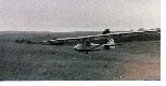 Falcon-3-Toby-Ashwell-Cook-.jpg