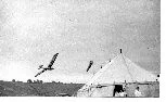 Dunstable-1938-Falcon-3.jpg