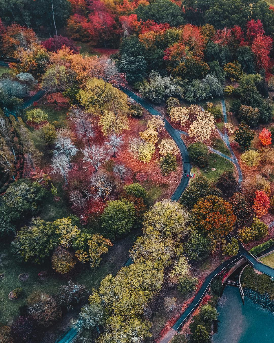 Screenshot-2017-11-2 Instagram post by Bo Le Adelaide, Australia • Oct 7, 2017 at 10 06am UTC.png