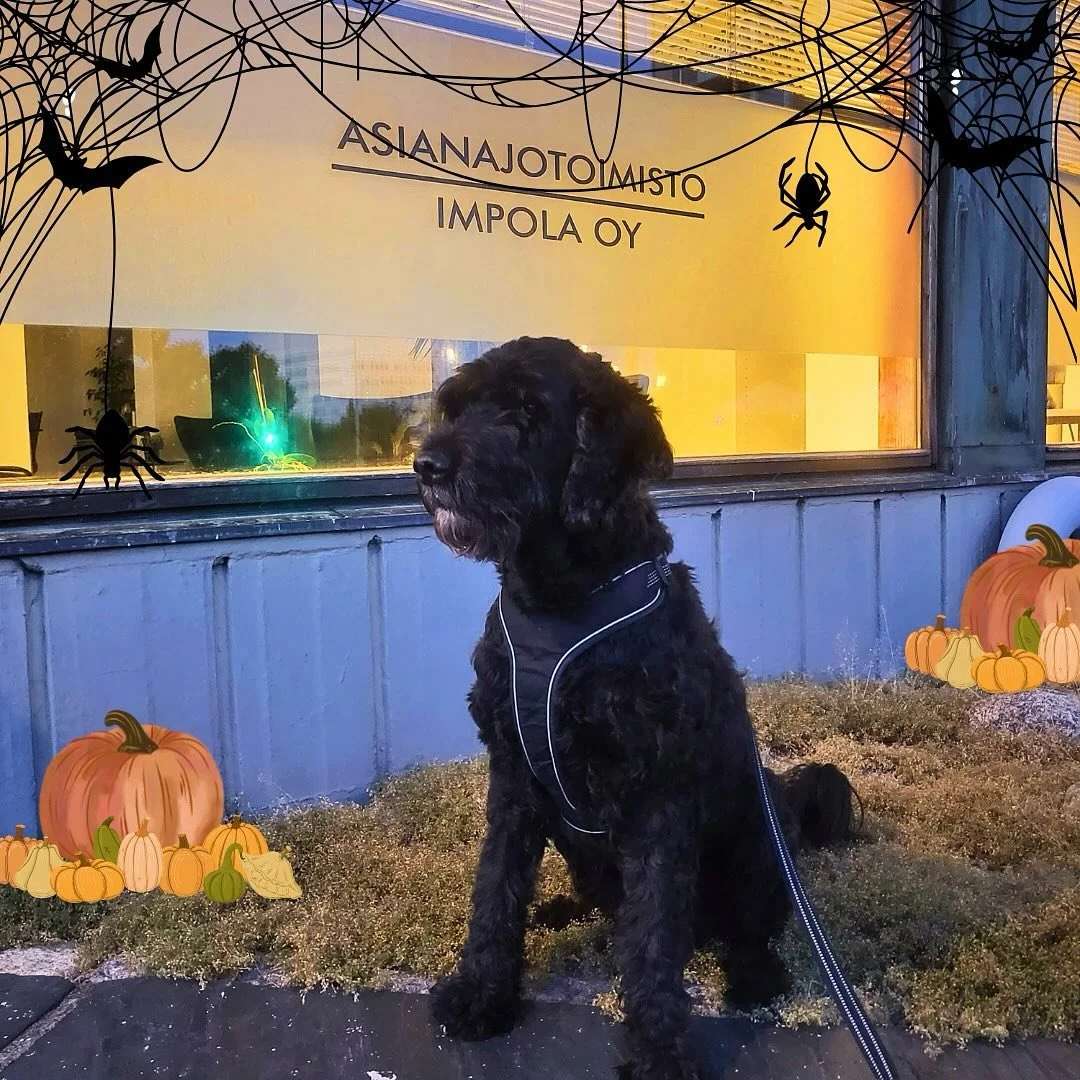 Hauskaa Halloweeniä! 🎃
Tiesitkö, että nykyisen kaupallisen Halloween-juhlan lisäksi loka-marraskuun vaihteeseen mahtuu myös muita syysjuhlia? Syyskauden juhlien perusta on monessa kulttuurissa sadonkorjuussa ja satokauden p