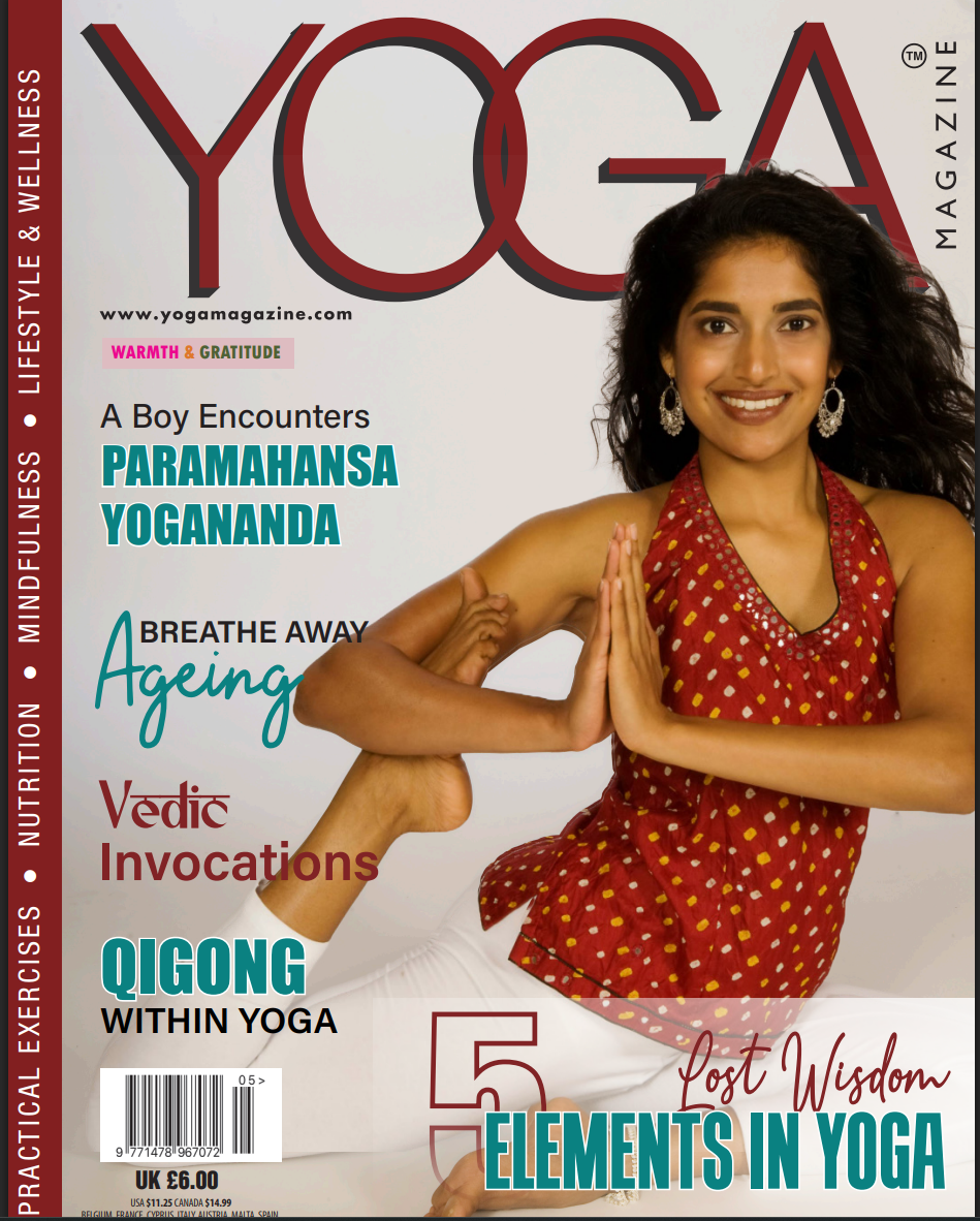 Lost origins of Yoga - Marin Vayu