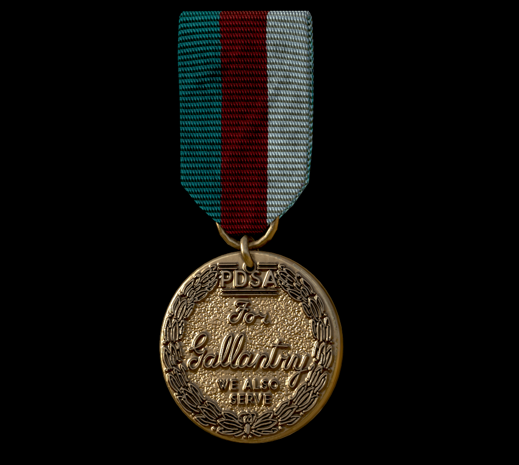 Medal.PNG