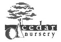 cedar nursery.jpg