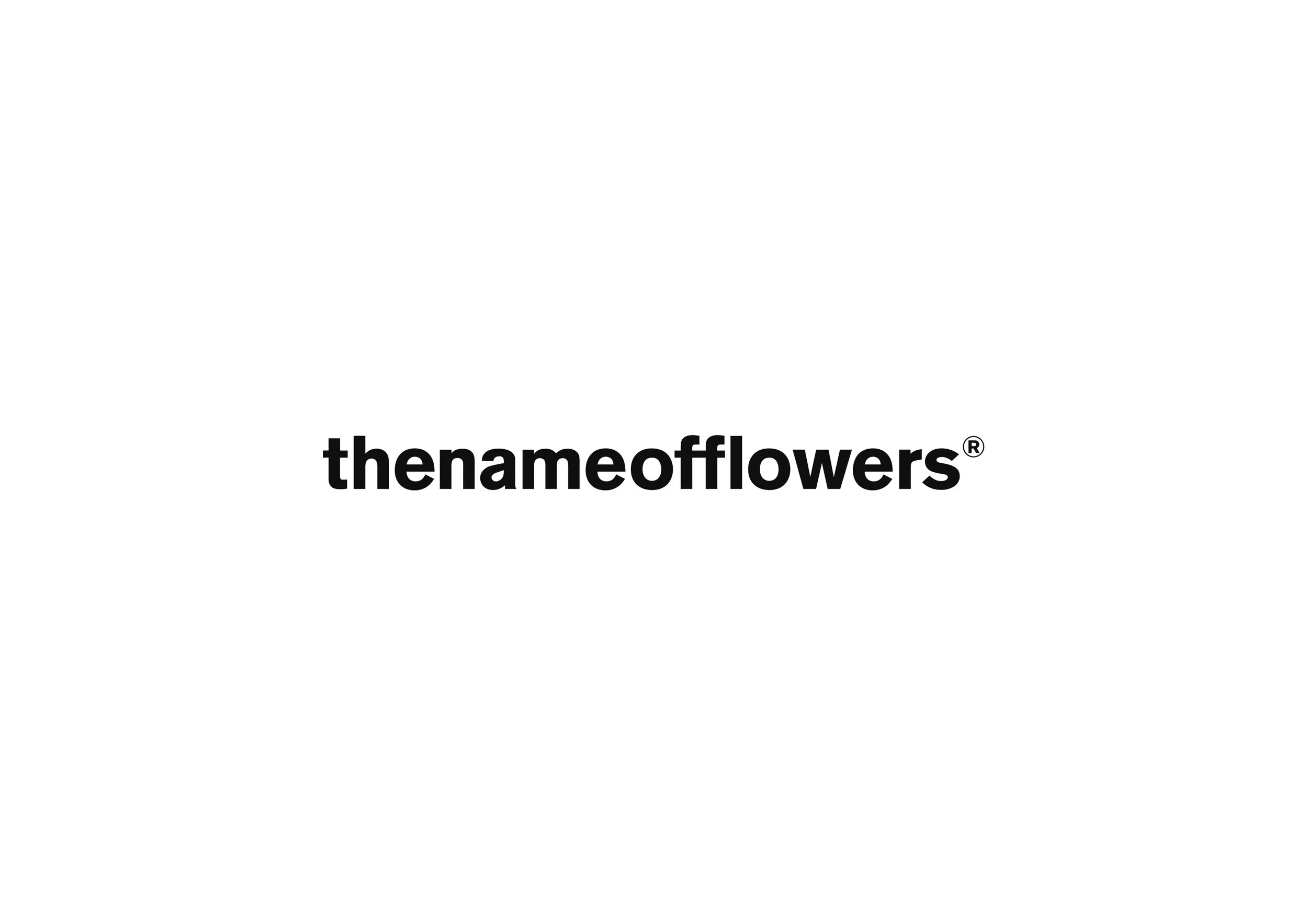 tnof_website.jpg