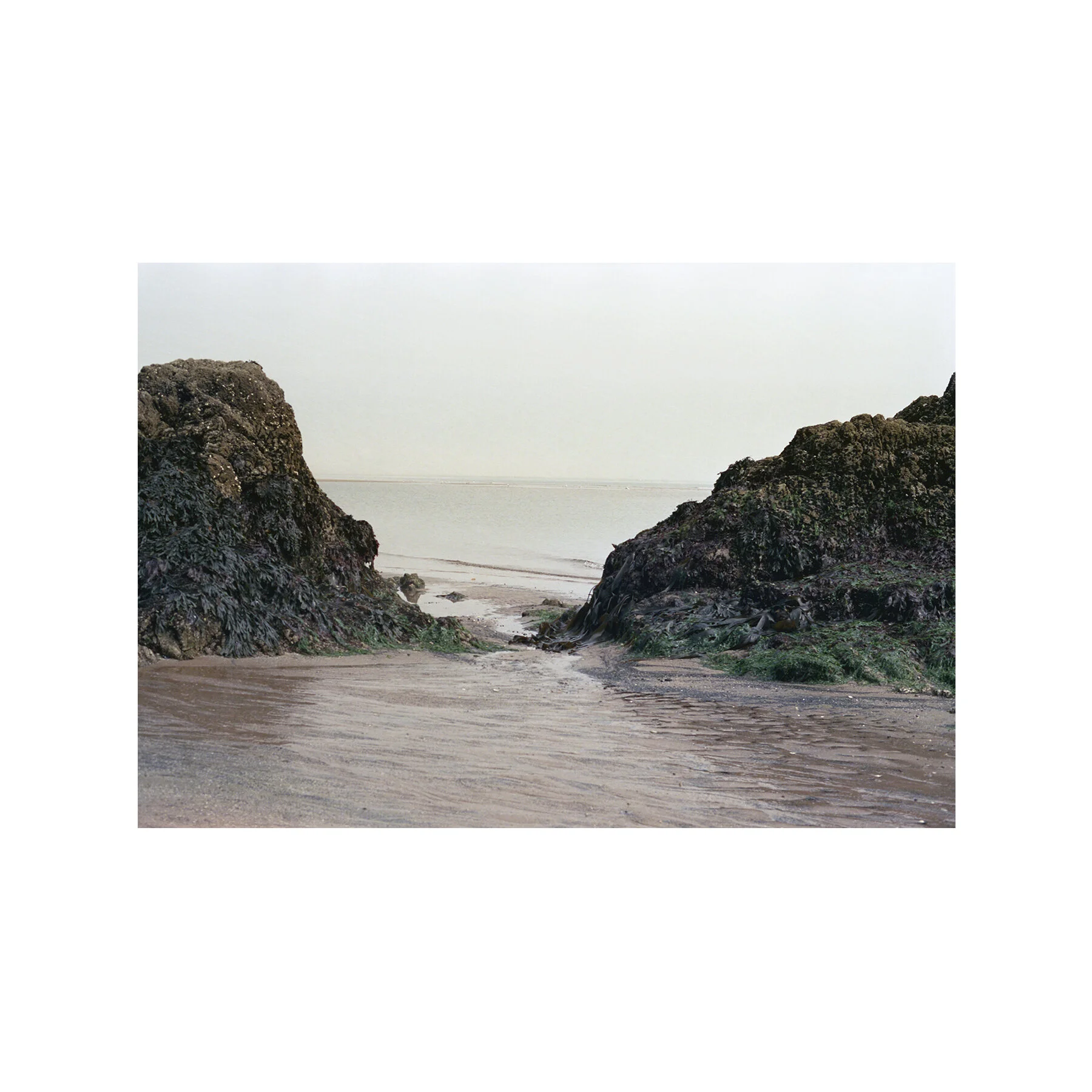 sea.jpg