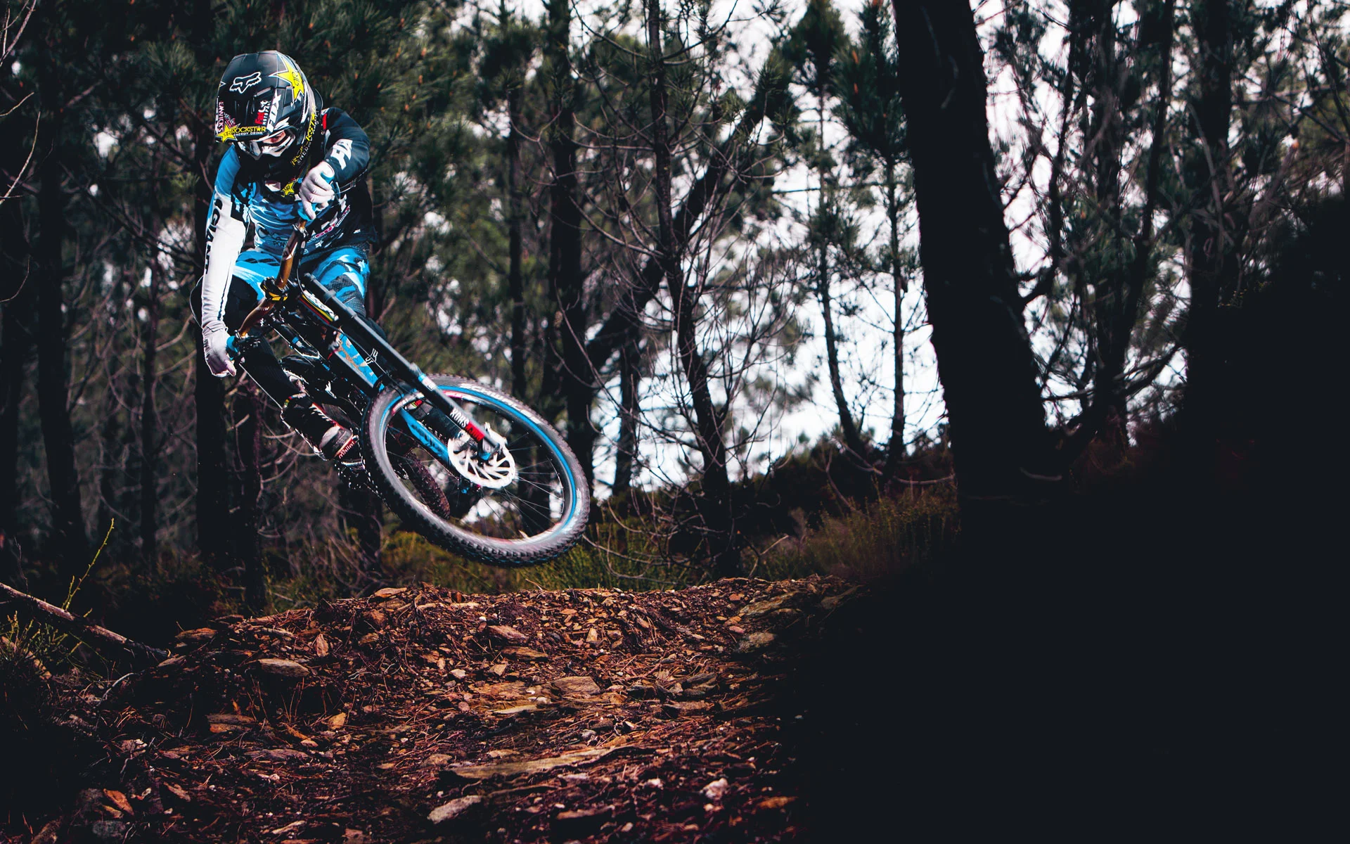 TRI THE BIKE SHOP