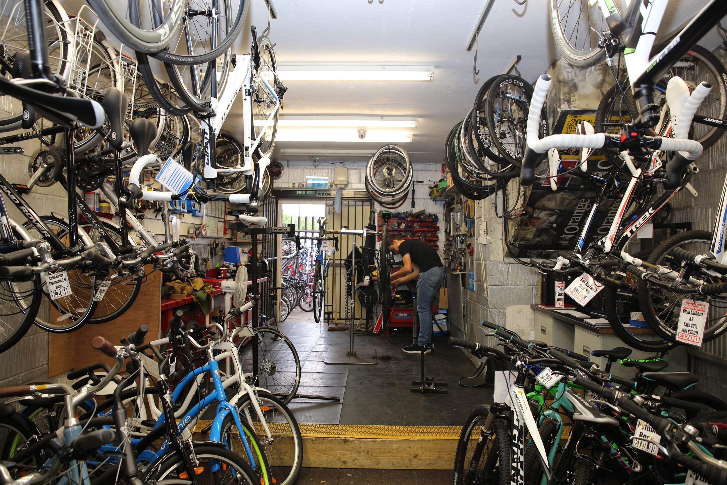 TRI THE BIKE SHOP
