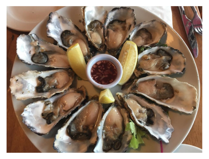 oysters in dublin