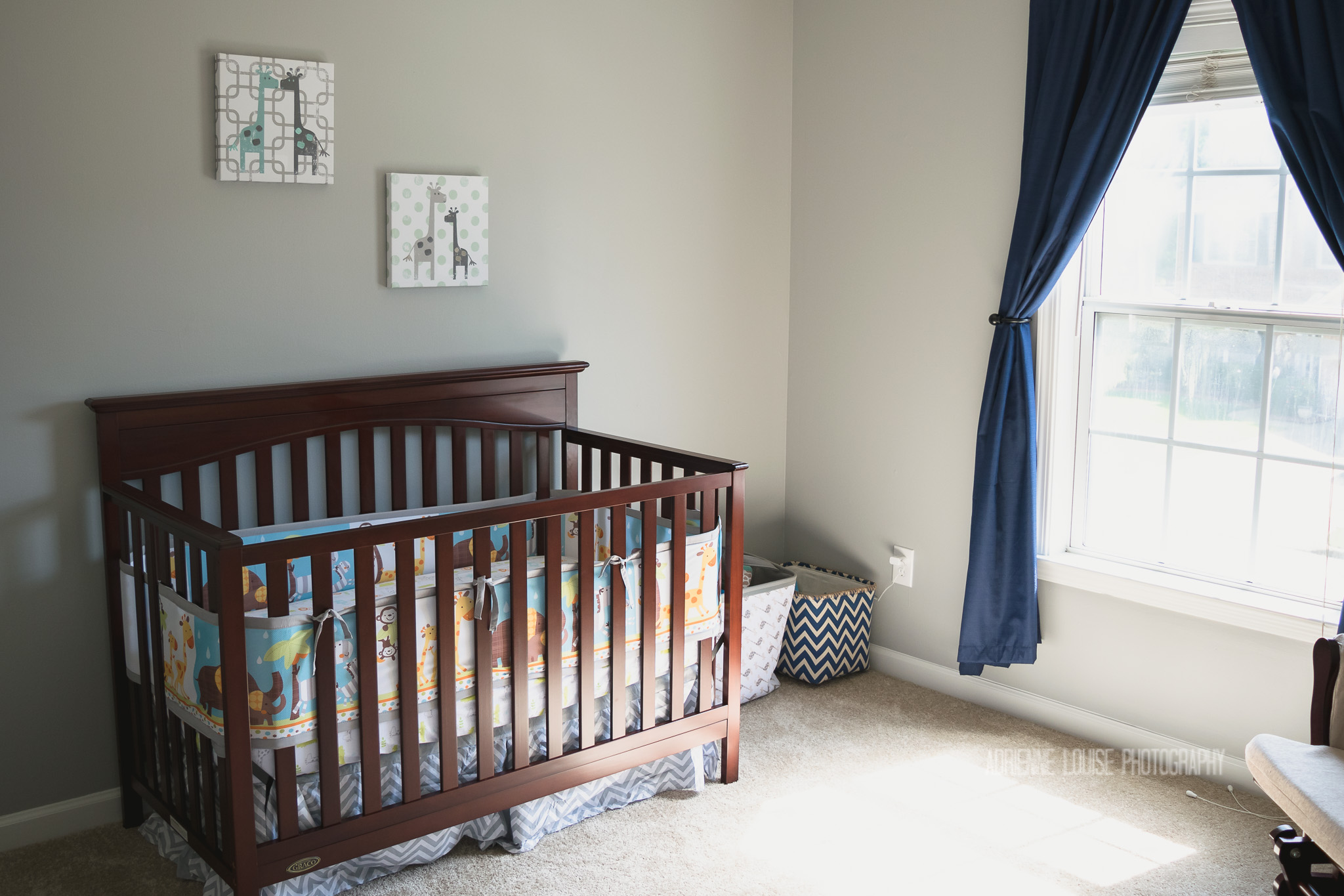 Woodstock Newborn Photographer