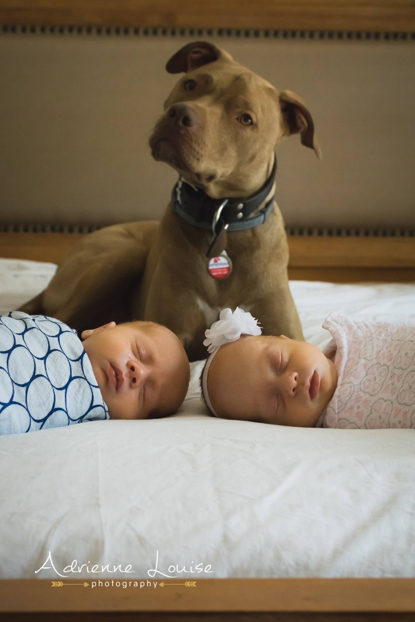 Woodstock Newborn Photographer