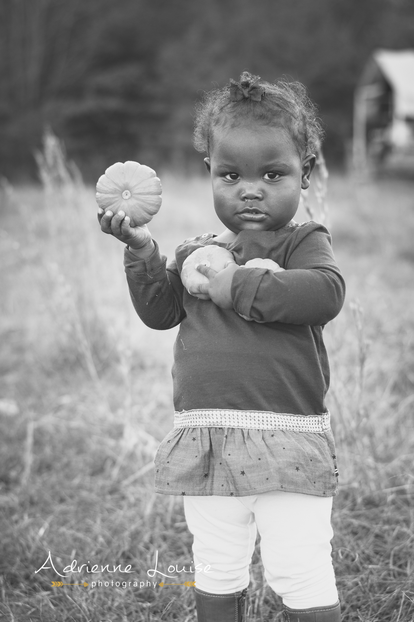 Woodstock Family Photographer